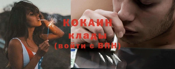 ALPHA PVP Новодвинск