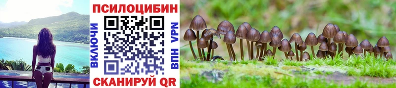 Псилоцибиновые грибы мицелий  mega маркетплейс  это официальный сайт  Электроугли 